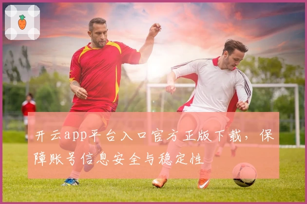 开云app平台入口官方正版下载，保障账号信息安全与稳定性